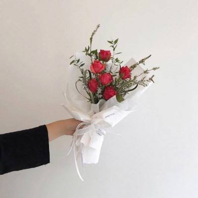 乐彩网app官方正版下载